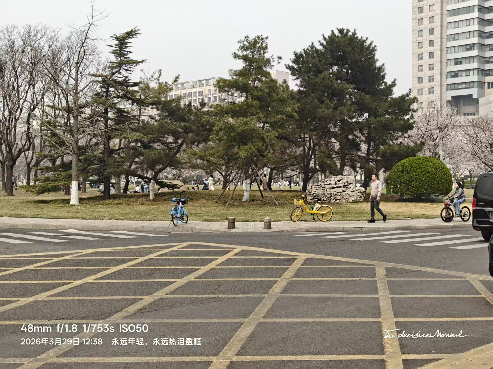 微信图片_20260401174128_21_87.jpg