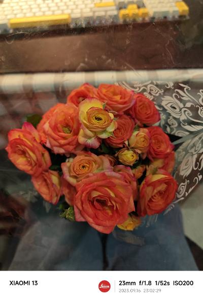 买朵鲜花送给自己